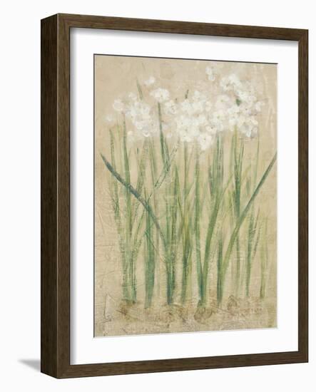 Narcissus Cool-Cheri Blum-Framed Art Print