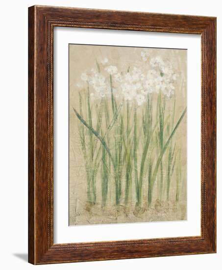 Narcissus Cool-Cheri Blum-Framed Art Print