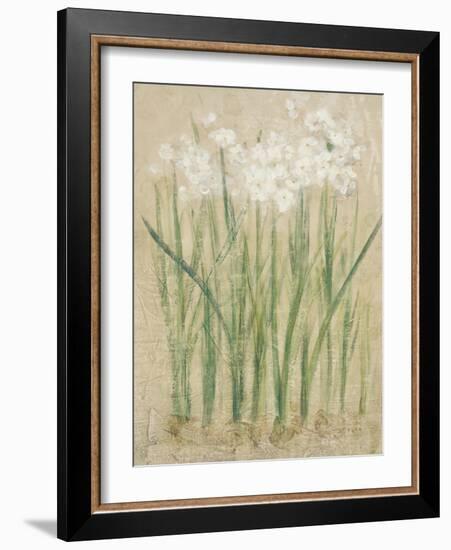 Narcissus Cool-Cheri Blum-Framed Art Print