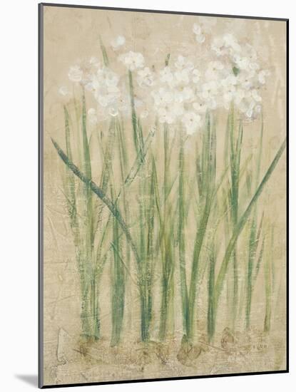 Narcissus Cool-Cheri Blum-Mounted Art Print