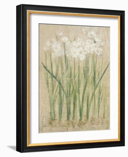 Narcissus Cool-Cheri Blum-Framed Art Print