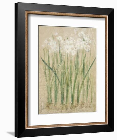 Narcissus Cool-Cheri Blum-Framed Art Print