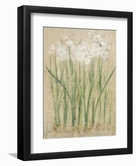 Narcissus Cool-Cheri Blum-Framed Art Print