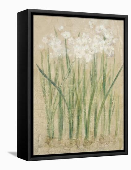 Narcissus Cool-Cheri Blum-Framed Stretched Canvas