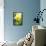 Narcissus, Daffodil, Grape Hyacinth-Sweet Ink-Framed Premier Image Canvas displayed on a wall