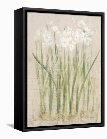 Narcissus Light-Cheri Blum-Framed Stretched Canvas