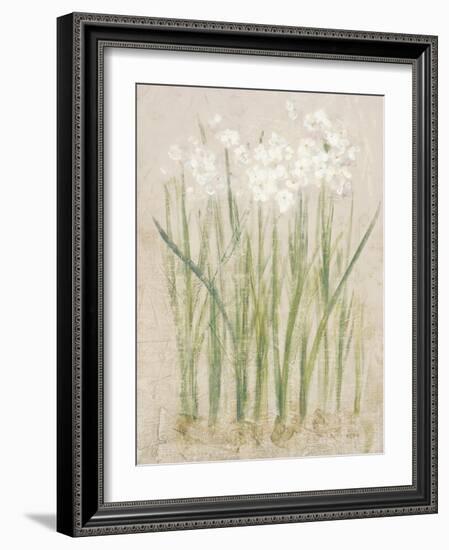 Narcissus Light-Cheri Blum-Framed Art Print