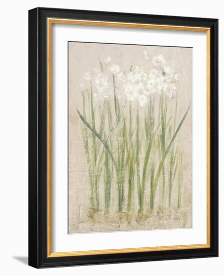 Narcissus Light-Cheri Blum-Framed Art Print