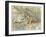 Narcissus-John Shenton Eland-Framed Giclee Print