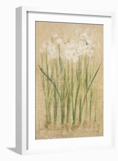 Narcissus-Cheri Blum-Framed Premium Giclee Print