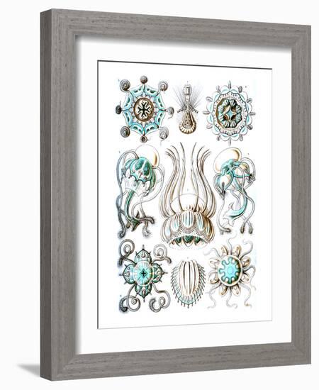 Narcomedusae-Ernst Haeckel-Framed Art Print