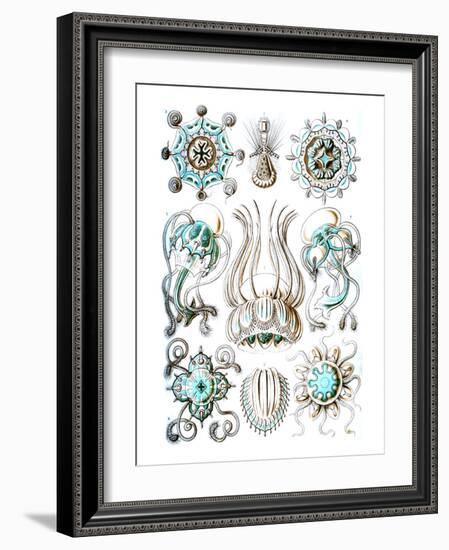 Narcomedusae-Ernst Haeckel-Framed Art Print