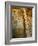 Narga Selassi Church, Isle of Dek, Lake Tana, Gondar Region, Ethiopia, Africa-Bruno Barbier-Framed Photographic Print