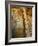 Narga Selassi Church, Isle of Dek, Lake Tana, Gondar Region, Ethiopia, Africa-Bruno Barbier-Framed Photographic Print