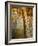 Narga Selassi Church, Isle of Dek, Lake Tana, Gondar Region, Ethiopia, Africa-Bruno Barbier-Framed Photographic Print