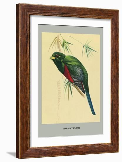 Narina Trogon-Louis Agassiz Fuertes-Framed Art Print