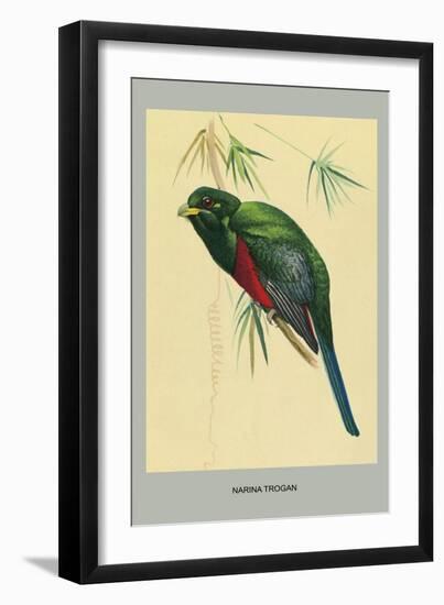 Narina Trogon-Louis Agassiz Fuertes-Framed Art Print
