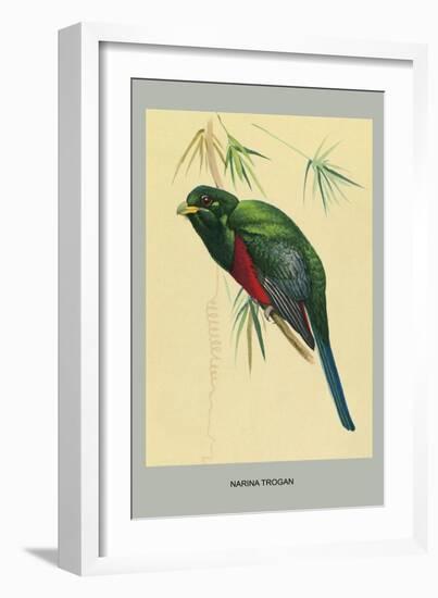 Narina Trogon-Louis Agassiz Fuertes-Framed Art Print