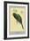 Narina Trogon-Louis Agassiz Fuertes-Framed Art Print