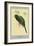 Narina Trogon-Louis Agassiz Fuertes-Framed Art Print