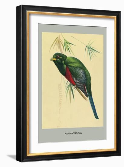 Narina Trogon-Louis Agassiz Fuertes-Framed Art Print