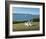 Narragansett Bay-Daniel Pollera-Framed Art Print