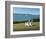 Narragansett Bay-Daniel Pollera-Framed Art Print