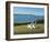 Narragansett Bay-Daniel Pollera-Framed Art Print