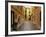 Narrow Back Street, St. Tropez, Var, Provence, Cote D'Azur, France, Europe-Peter Richardson-Framed Photographic Print