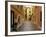 Narrow Back Street, St. Tropez, Var, Provence, Cote D'Azur, France, Europe-Peter Richardson-Framed Photographic Print