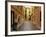 Narrow Back Street, St. Tropez, Var, Provence, Cote D'Azur, France, Europe-Peter Richardson-Framed Photographic Print