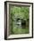 Narrow Boat Cruising the Llangollen Canal, England, United Kingdom, Europe-Richard Maschmeyer-Framed Photographic Print