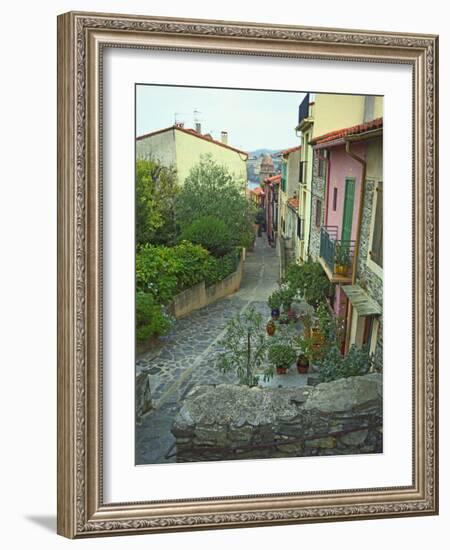 Narrow Cobblestone Street, Fishing Village, Collioure, Languedoc-Roussillon, France-Per Karlsson-Framed Photographic Print