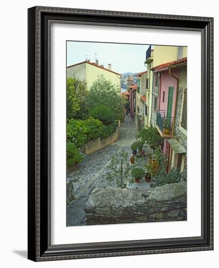 Narrow Cobblestone Street, Fishing Village, Collioure, Languedoc-Roussillon, France-Per Karlsson-Framed Photographic Print