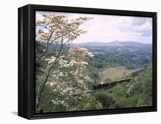 Narrow Gauge Rail Line Transporting Goods Between Guatemala and El Salvador-John Dominis-Framed Premier Image Canvas