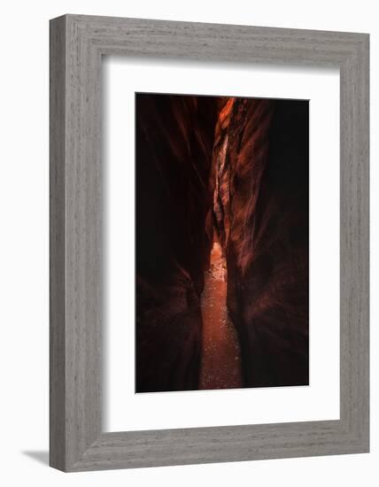 Narrow Pass Buckskin Gulch Slot Canyon Utah Southwest-Vincent James-Framed Photographic Print