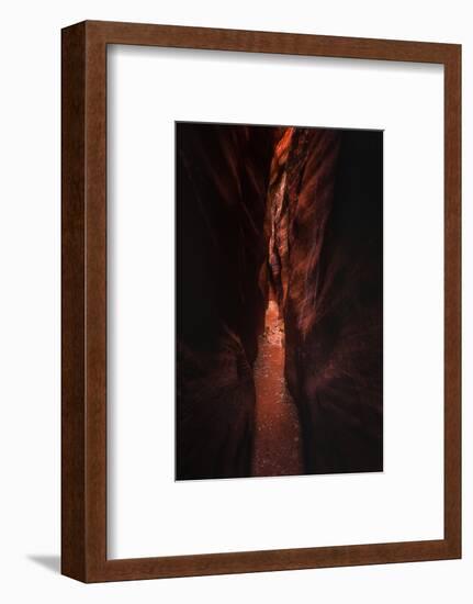 Narrow Pass Buckskin Gulch Slot Canyon Utah Southwest-Vincent James-Framed Photographic Print