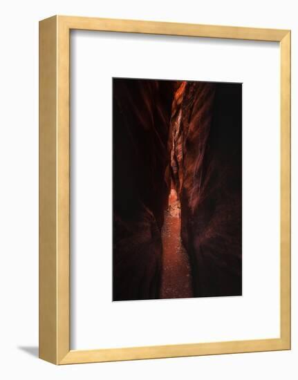 Narrow Pass Buckskin Gulch Slot Canyon Utah Southwest-Vincent James-Framed Photographic Print