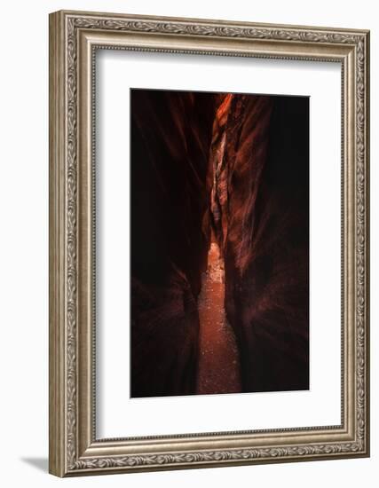 Narrow Pass Buckskin Gulch Slot Canyon Utah Southwest-Vincent James-Framed Premium Photographic Print