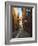 Narrow Street in Lyon (Vieux Lyon), France-Charles Sleicher-Framed Photographic Print