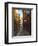 Narrow Street in Lyon (Vieux Lyon), France-Charles Sleicher-Framed Photographic Print