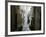 Narrow Street in Old Quarter, Spoleto, Umbria, Italy-Tony Gervis-Framed Photographic Print