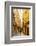 Narrow street in the Old Town, Vieille Ville, Nice, Alpes-Maritimes, Cote d'Azur, Provence, French-Fraser Hall-Framed Photographic Print