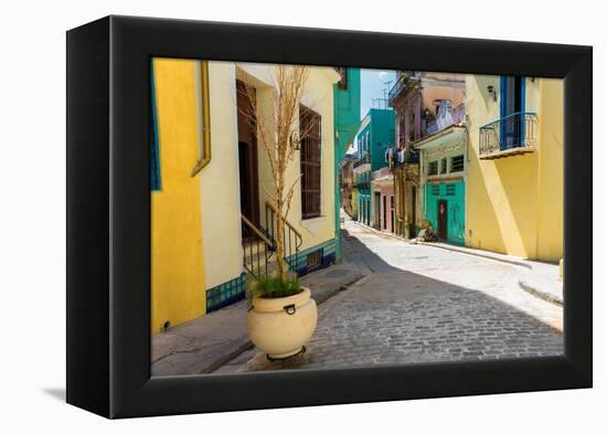 Narrow Street Sidelined by Colorful Buildings in Old Havana-Kamira-Framed Premier Image Canvas