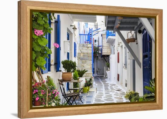 Narrow street, whitewashed buildings with blue paint work, flowers, Mykonos Town (Chora), Mykonos,-Eleanor Scriven-Framed Premier Image Canvas