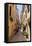 Narrow Street with Lady Sweeping, Old Town, Corfu Town-Eleanor Scriven-Framed Premier Image Canvas