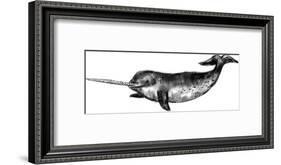 Narwhal Illustration-Jetty Printables-Framed Art Print
