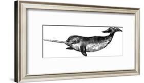 Narwhal Illustration-Jetty Printables-Framed Art Print