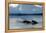 Narwhal (Monodon Monoceros) Showing Tusks Above Water Surface. Baffin Island, Nunavut, Canada-Eric Baccega-Framed Premier Image Canvas