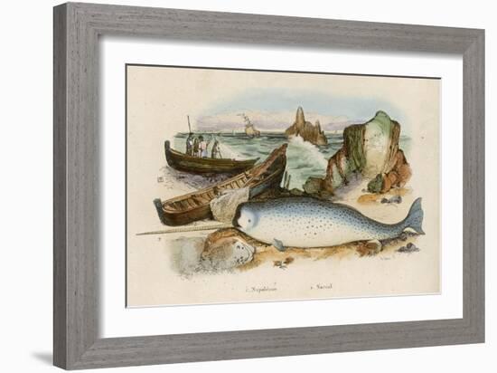 Narwhal-Du Casse-Framed Art Print